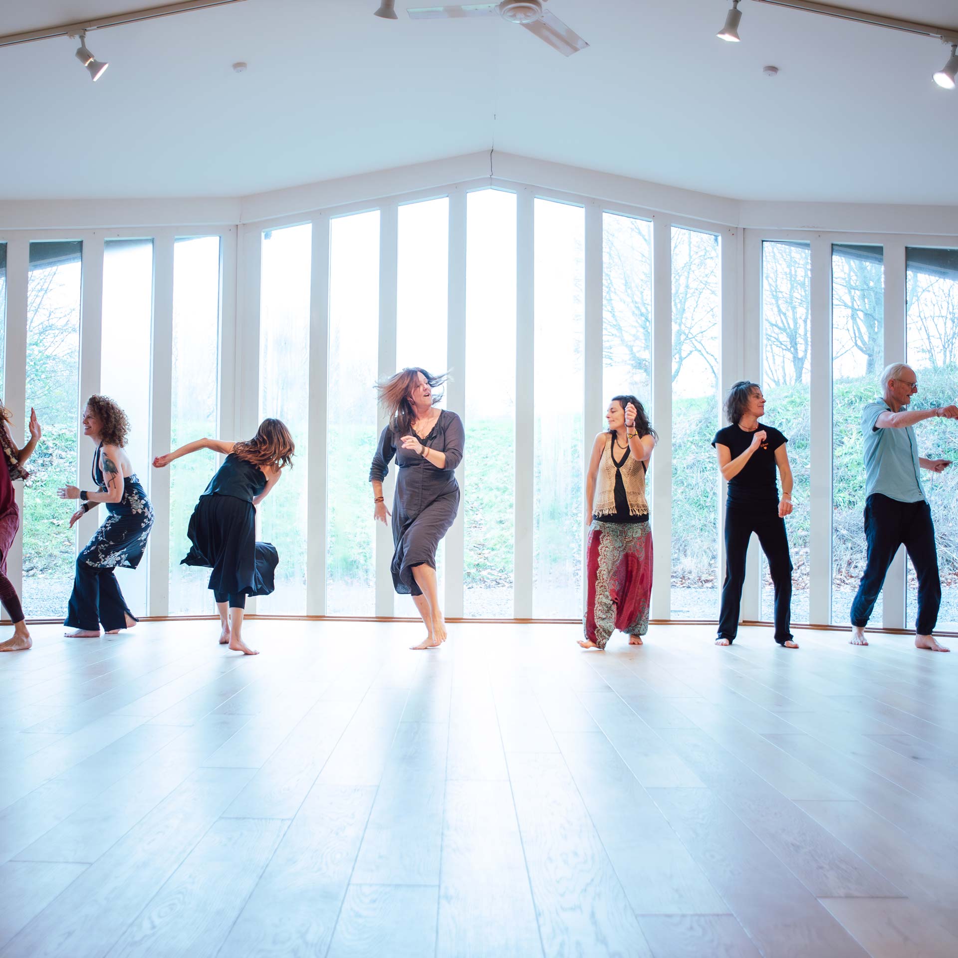 Intro to Movement Medicine