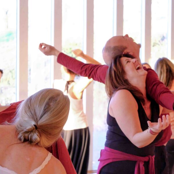 Cours Mensuel Movement Medicine avec Elena