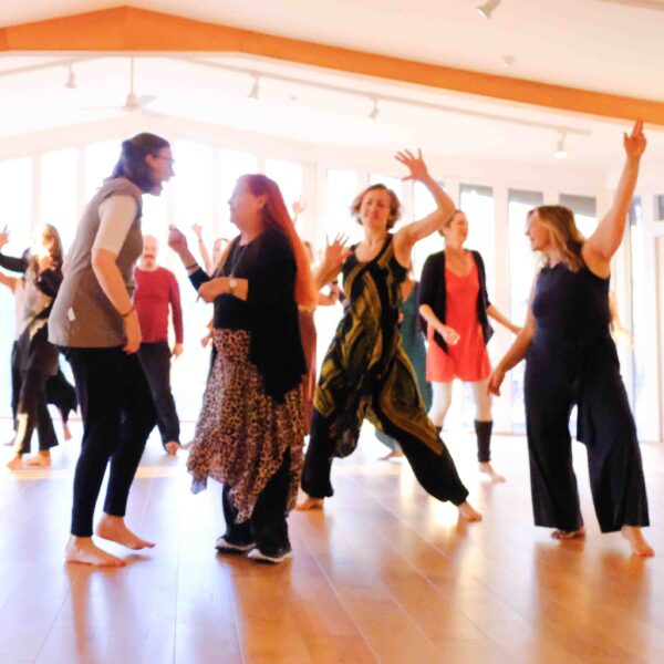 Cours Mensuel Movement Medicine avec Elena