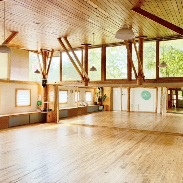 Movement Medicine - Bristol