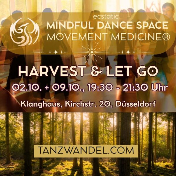 MINDFUL ecstatic DANCE SPACE with Movement Medicine®️